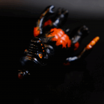 a kaiju sofubi of the gun monster