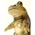 Frog style sofubi toy Frog style sofubi toy