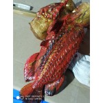 Painted muti-color sofubi toys/kaiju Painted muti-color sofubi toys/kaiju