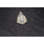 clear animal sofubi toy clear animal sofubi toy