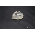 clear animal sofubi toy clear animal sofubi toy