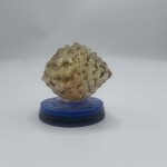 hermit crab vinyl toy hermit crab vinyl toy